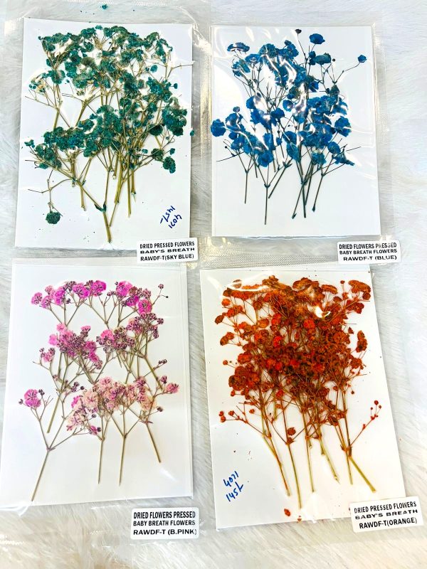 Dry Flower | Code : 4071 - Image 2