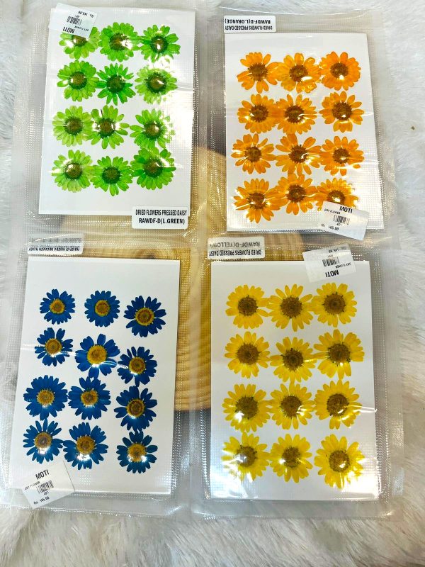 dry flower